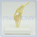 PNT-0877 Customized Dog Model Of New Structure